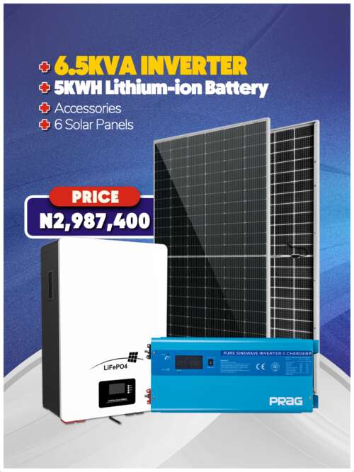 6.5KVA Inverter + 5KWH Battery + Panels + Accessories